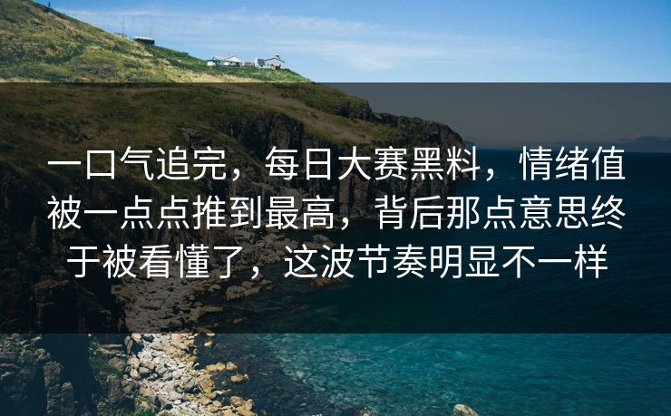 一口气追完，每日大赛黑料，情绪值被一点点推到最高，背后那点意思终于被看懂了，这波节奏明显不一样
