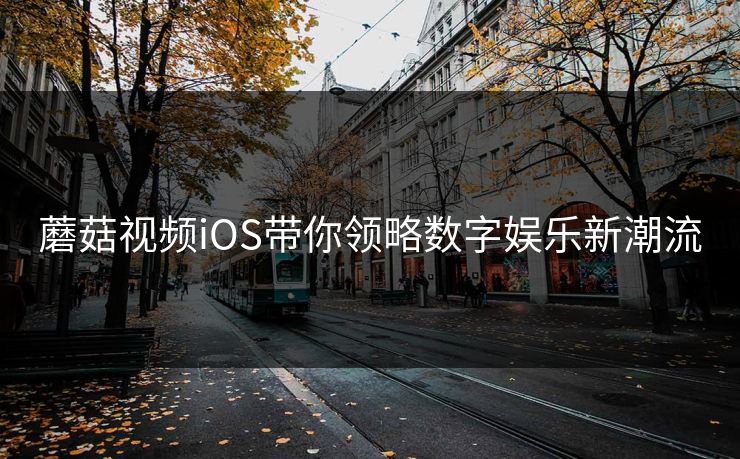 蘑菇视频iOS带你领略数字娱乐新潮流 蘑菇视频iOS带你领略数字娱乐新潮流